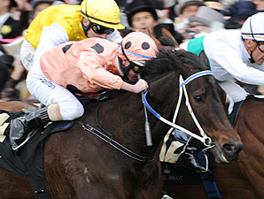 Black Caviar to Be Bred to Exceed And Excel Black Caviar to Be Bred to Exceed And Excel