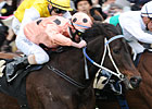 Black Caviar Wins 3rd Horse of the Year Title Black Caviar Wins 3rd Horse of the Year Title