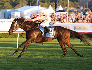 Unbeaten Black Caviar Amazes With 25th Win Unbeaten Black Caviar Amazes With 25th Win