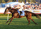 Black Caviar Retires Unbeaten After 25 Wins Black Caviar Retires Unbeaten After 25 Wins
