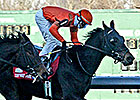 First Azerbaijani-Bred Wins in U.S. First Azerbaijani-Bred Wins in U.S.