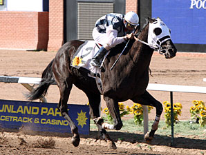 Black Hills Romps in Sunland Park Handicap Black Hills Romps in Sunland Park Handicap