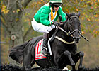 Black Jack Blues Romps in U.S. Grand National Black Jack Blues Romps in U.S. Grand National