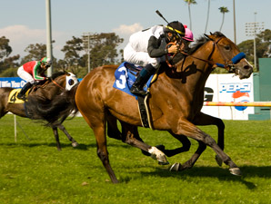 Black Mamba Recoils in Beverly Hills Handicap Black Mamba Recoils in Beverly Hills Handicap