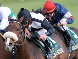 Black Mamba Strikes in Rood & Riddle Dowager Black Mamba Strikes in Rood & Riddle Dowager