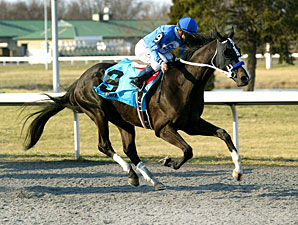 Black Onyx in Derby Picture After Spiral Win Black Onyx in Derby Picture After Spiral Win