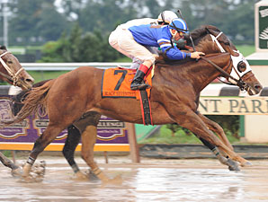 Black Seventeen Surprises in Vosburgh Black Seventeen Surprises in Vosburgh