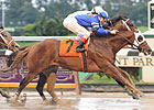 Black Seventeen Surprises in Vosburgh