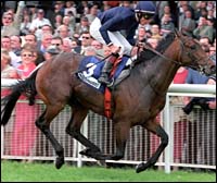 Storm Cat Colt Rallies to Victory at Royal Ascot