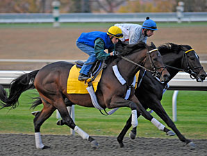 Blame Puts in Productive Workout at Keeneland Blame Puts in Productive Workout at Keeneland
