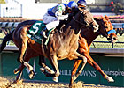 Eight Probables for Stephen Foster Handicap
