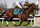Claiborne Happy to Accept Blame Claiborne Happy to Accept Blame