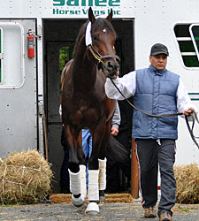 Blame Makes it to Belmont This Time Blame Makes it to Belmont This Time