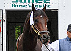 Blame Makes it to Belmont This Time