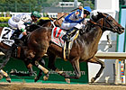 Blame Runs Down Battle Plan in Stephen Foster