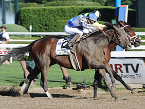 Blame Works, On Target for JC Gold Cup Blame Works, On Target for JC Gold Cup