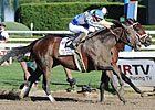 Blame Works, On Target for JC Gold Cup