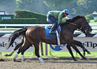 Quality Road, Blame Work for Whitney