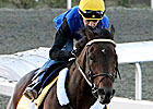 Blame Steady in Workout for Classic Blame Steady in Workout for Classic