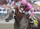 Blind Luck Retired; Booked to Bernardini Blind Luck Retired; Booked to Bernardini