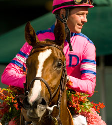 Juvy Fillies: Blind Luck the Lukewarm Choice Juvy Fillies: Blind Luck the Lukewarm Choice