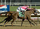 Blind Luck, 'Grace' Spa Showdown Possible Blind Luck, 'Grace' Spa Showdown Possible