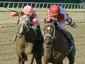 Blind Luck, Havre de Grace to Clash Again? Blind Luck, Havre de Grace to Clash Again?