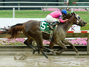 Blind Luck By a Nose in Delaware Oaks Blind Luck By a Nose in Delaware Oaks