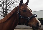 Keeneland January: Blind Luck at Keeneland Keeneland January: Blind Luck at Keeneland