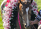 Slideshow: The 2010 Kentucky Oaks Slideshow: The 2010 Kentucky Oaks