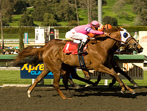 Blind Luck Wins Las Virgenes by a Whisker Blind Luck Wins Las Virgenes by a Whisker