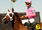 Blind Luck Works Four Furlongs at Hollywood