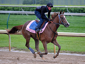 Full Field Ready to Tango in Oaks Full Field Ready to Tango in Oaks