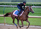 Blind Luck Draws Post 5 for KY Oaks Blind Luck Draws Post 5 for KY Oaks