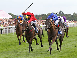 Blue Bunting Gets Hat Trick in Yorkshire Oaks Blue Bunting Gets Hat Trick in Yorkshire Oaks