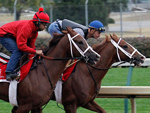 Casse 2-Year-Olds, Others Work at Churchill Casse 2-Year-Olds, Others Work at Churchill