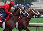Casse 2-Year-Olds, Others Work at Churchill Casse 2-Year-Olds, Others Work at Churchill
