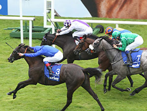 Blue Bunting Lands Irish Oaks Thriller Blue Bunting Lands Irish Oaks Thriller