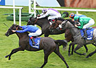 Blue Bunting Lands Irish Oaks Thriller Blue Bunting Lands Irish Oaks Thriller