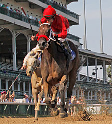Blueeyesintherein Perfect in Debutante Stakes Blueeyesintherein Perfect in Debutante Stakes