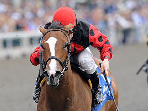 Bluegrass Cat Gets First Winner Bluegrass Cat Gets First Winner