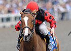 Bluegrass Cat Gets First Winner Bluegrass Cat Gets First Winner