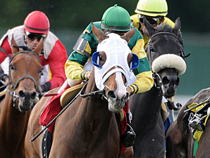 Boiling Springs: 8 Seek First Graded Stakes 
