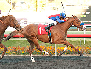 Hollendorfer has Solid Pair for San Pasqual Hollendorfer has Solid Pair for San Pasqual