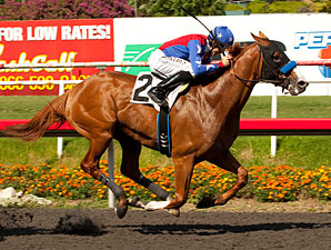 Steady Blueskiesnrainbows Wires Swaps Stakes Steady Blueskiesnrainbows Wires Swaps Stakes