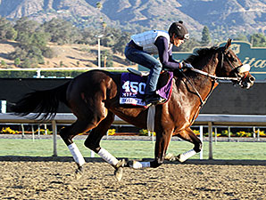 Pender Has Two Hopes for BC Turf Sprint Pender Has Two Hopes for BC Turf Sprint