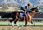 Pender Has Two Hopes for BC Turf Sprint Pender Has Two Hopes for BC Turf Sprint