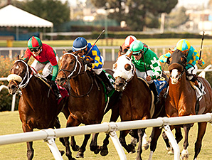 Boat Trip Wins Express; Triple Heater for 2nd Boat Trip Wins Express; Triple Heater for 2nd