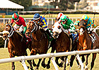 Slideshow: The Week in Photos for 12/10/2013 Slideshow: The Week in Photos for 12/10/2013
