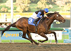 Injury Forces Bob Black Jack to Retire Injury Forces Bob Black Jack to Retire